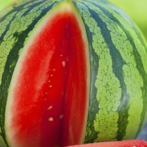 Meet your Posher, Andres